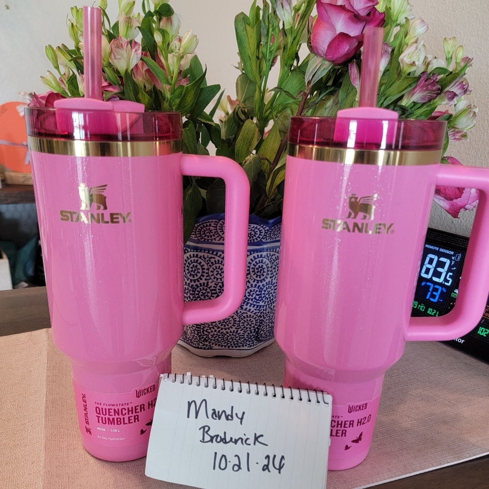 Stanley X Wicked Glinda 40 oz New